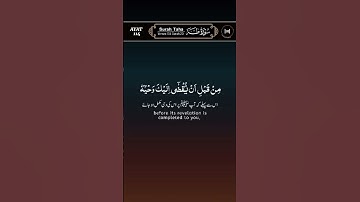 سوره طه آیه 114