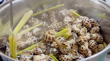 Cách Luộc Ốc Hương Thơm Ngon Giòn Ngọt