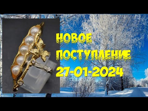 Новое поступление 27-01-2024