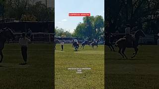 JINETEADA EN LA RINCONERA TIGRE |GRUPA| #caballos #horse