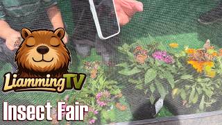 Riverside Insect Fair Walkthrough | Butterfly Tent &amp; Cockroach Race (No Narration)