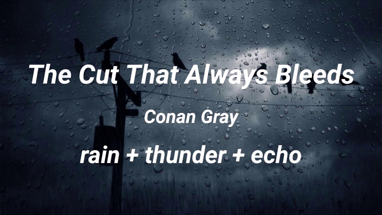 the cut that always bleeds (conan gray) but it's raining and you're in an empty building