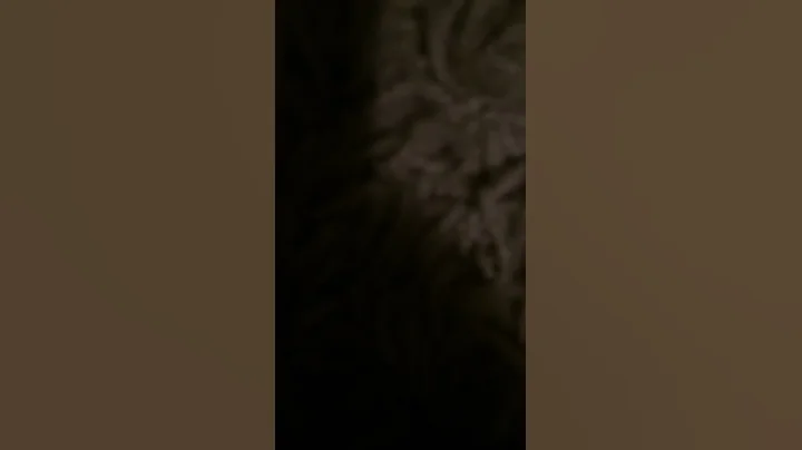 David Edstrm rararara