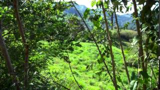 One Of 6 Building Spots