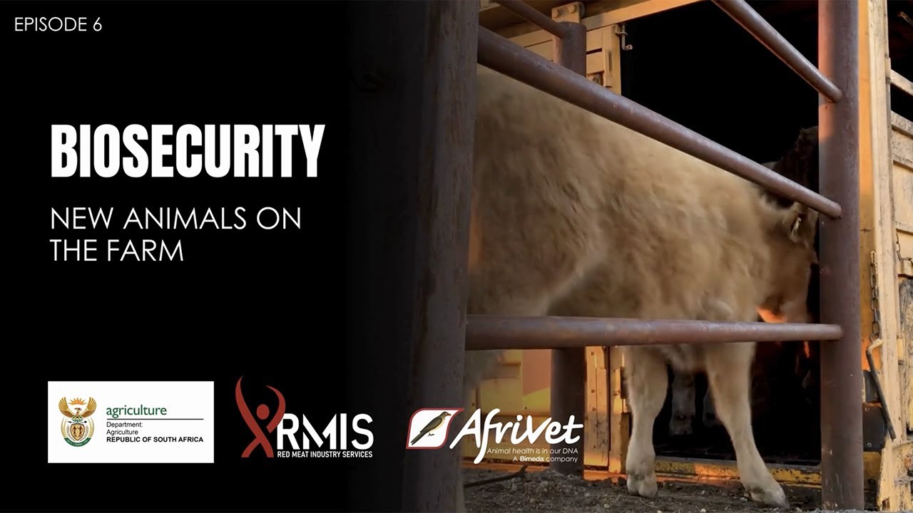 Биобезопасность: Эпизод 6 - Новые животные
