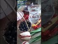 علموني فيروز حالات واتس علموني فيروز حالات واتس