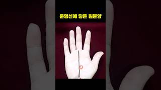 사고나 구설수에 오르는 등 나쁜 일이 일어날 손금 #손금 #운명선