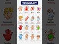 German Vocabulary learn German #germanlanguage #learngerman
