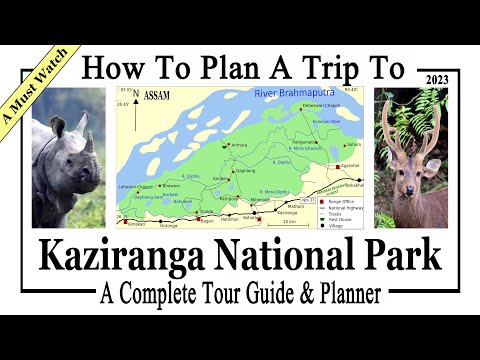 Video: Kaziranga National Park: The Complete Guide