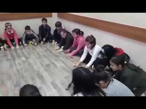 მარტყოფის N2 საჯარო სკოლის მუსიკის მასწავლებელმა გაკვეთილი ორფის მეთოდით ჩაატარა