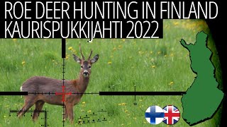 Kaurispukkijahti 2022 - Roe Deer Hunting In Finland