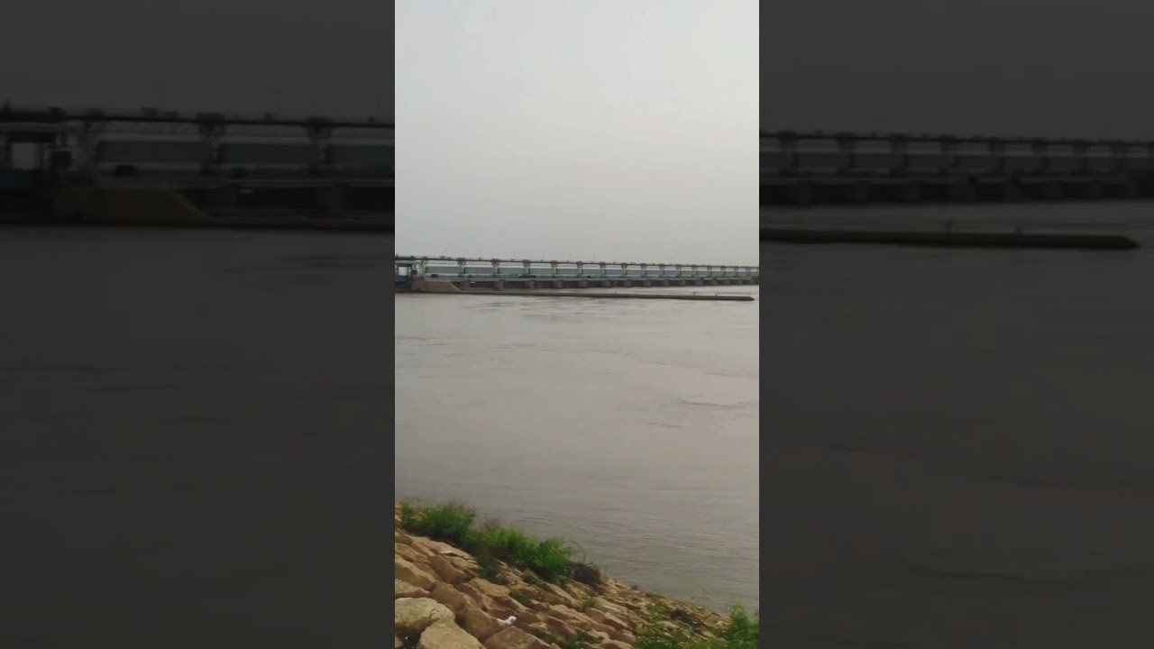 Shots | viral shorts | latest shorts |