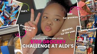 I Tried the $100 Grocery Challenge at Aldi and It Actually Worked screenshot 2