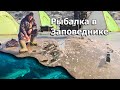 Ловля рыбы в заповеднике Тавричанский Лиман. Рыбалка зимой на мормышки и поплавок.