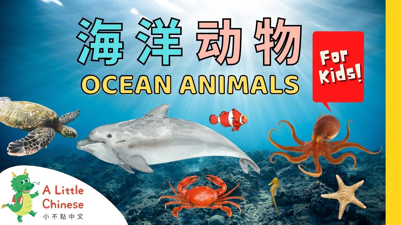 有趣的海洋魚類1