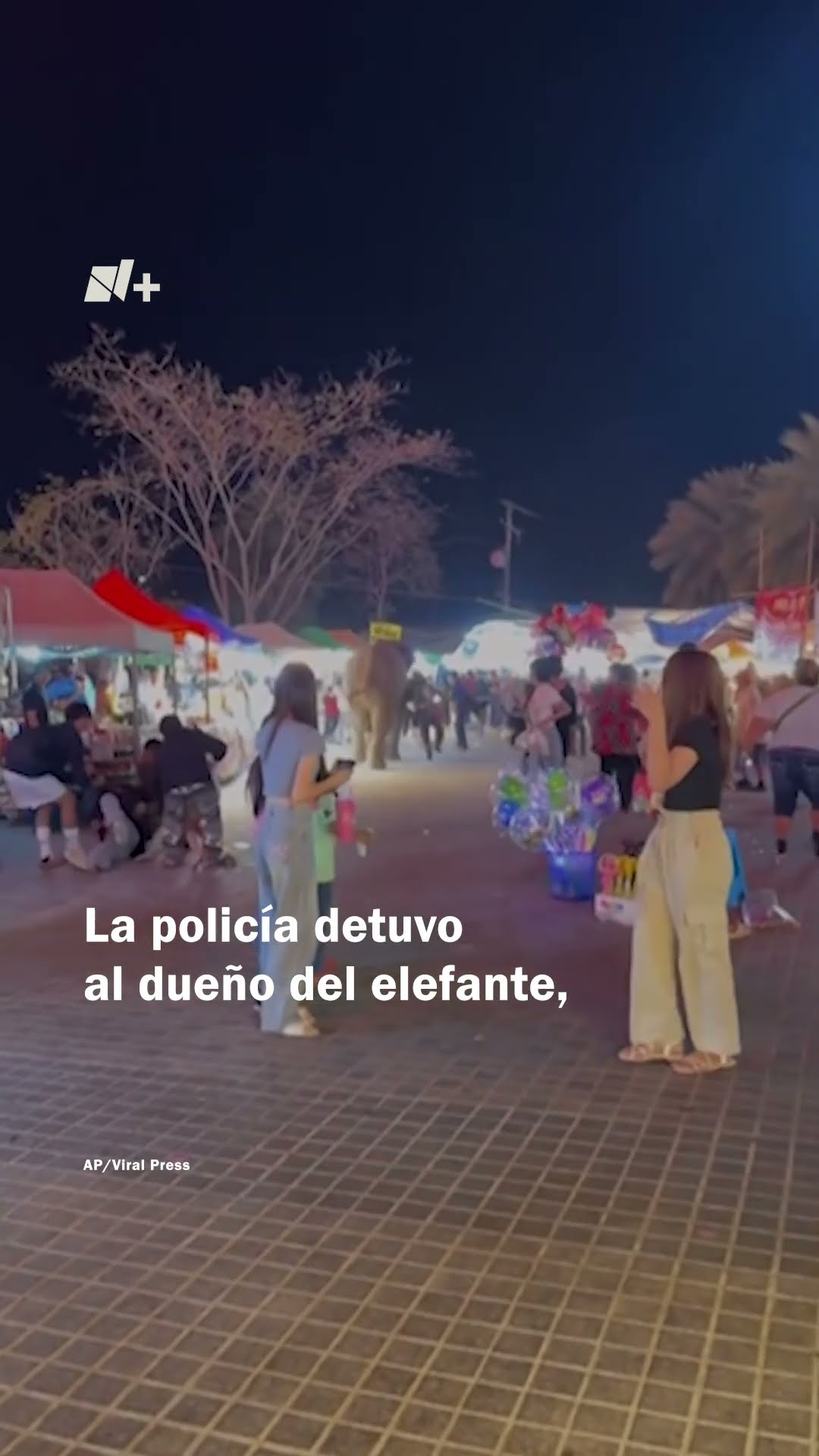 Elefante arrolla a multitud  - N+ #Shorts