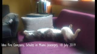 Idea Fire Company, Schultz In Miami Excerpt, 18 July 2019