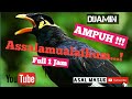 MASTERAN BEO ASSALAMUALAIKUM | SATU KATA FULL 1 JAM