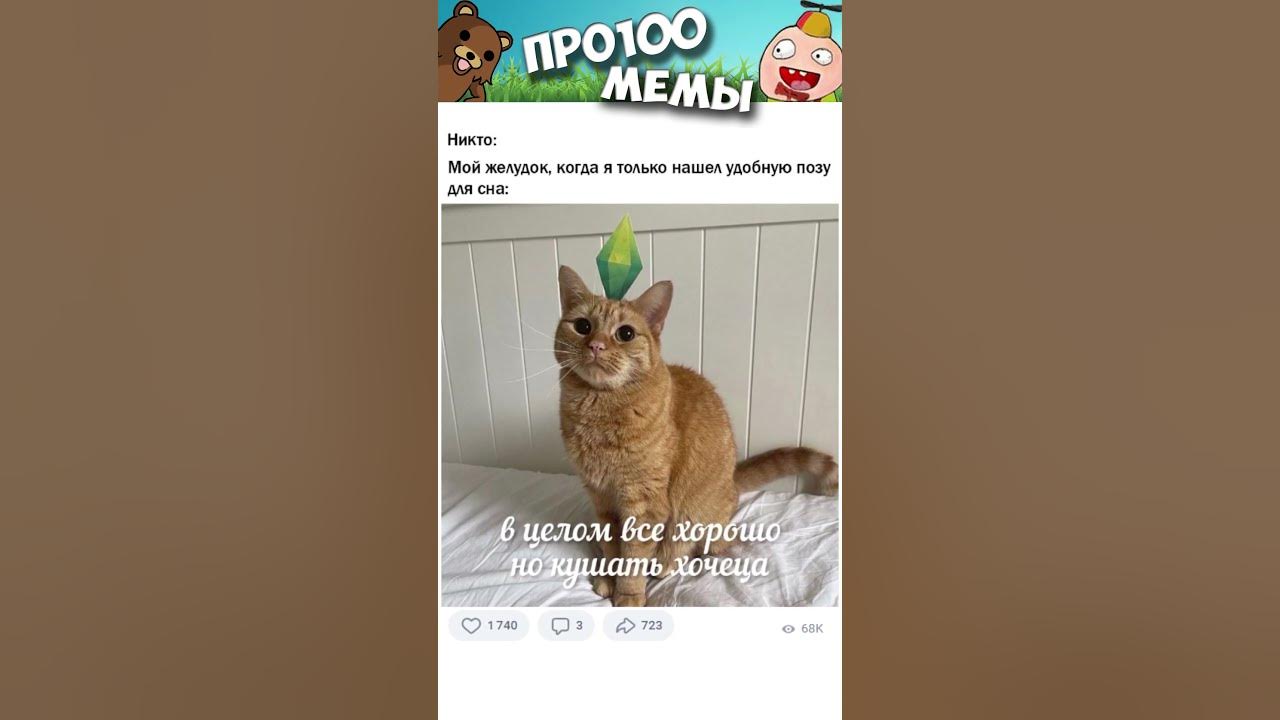 Смешные мемы котов без озвучки Пин на доске мем в 2024 г Смешные фотографии животных, Мемы, Веселые мемы