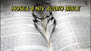 HOSEA 8 NIV AUDIO BIBLE(with text)