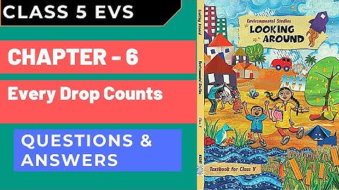 Class 5 EVS | Ch 6 - Every Drop Counts | Questions Answers | Looking Around