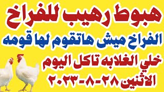 اسعار الفراخ البيضاء سعر الفراخ البيضاء اليوم الاثنين ٢٨-٨-٢٠٢٣ جملة وقطاعي في المحلات في مصر