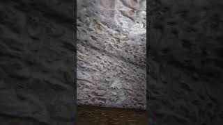 granny game tips and trick in Escape
