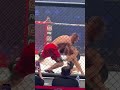Страшный нокаут на Fight Nights / Вырубил с колена / Арышев vs Свирид #mma #мма  #нокаут