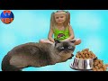 ВЛОГ Едем в гости ПОДАРКИ для КОТА Играем с Огромным Котом Видео для детей Big Cat