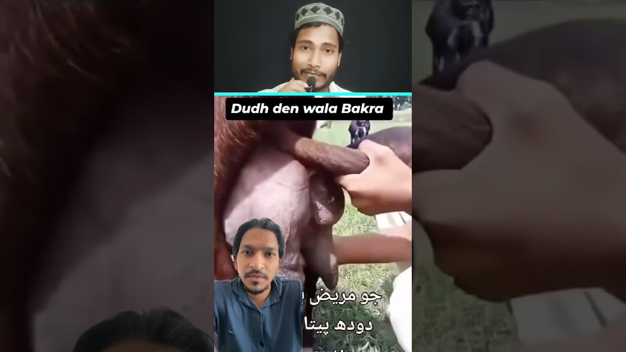 😍Mashallah Today’s ❤️Beautiful Video 21 