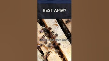 REST API란?