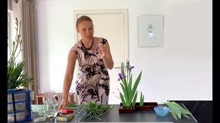Ikebana tutorial: arrangement with iris flowers for Boys Day by Ekaterina Seehaus www.ikebanaWEB.com