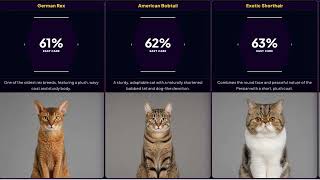 Easiest Cat Breeds You Can Actually Care For (Ranked)