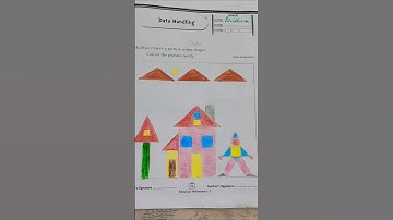 Class 1 Maths Data Handling Worksheet #shorts #ytshorts #youtubeshorts #class1 #datahandling #fyp