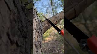 This Folding Saw Surprised Me… | SOG 8.25” Folding Survival Saw