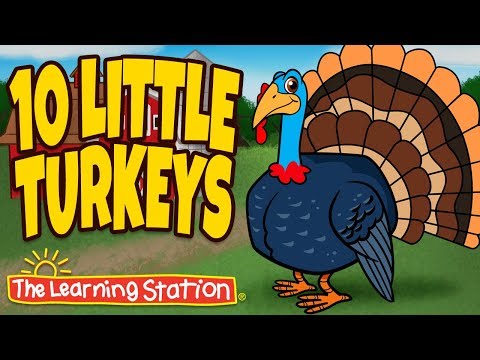 Video: A Little About Turkeys