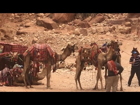 Videó: Petra Mellett: Jordánia ősi Romjai - Matador Hálózat