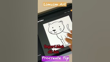 30s mẹo hay procreate 04- Tạo brush từ ảnh bất kỳ | #limzimart