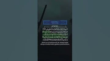 القرآن الكريم ماهر المعيقلي تلاوة هادئة ❤🖇