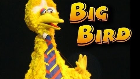 Big Bird!