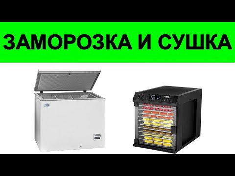 Что лучше сохраняет витамины: Замораживание или Сушка? Научные Исследования