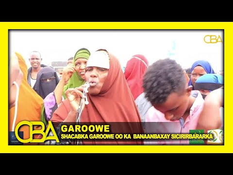 Shacabka Garoowe Oo Dhigay Banaanbax Looga Soo Horjeedo Sicir Bararka Qiimaha Shilinka Soomaaliya.