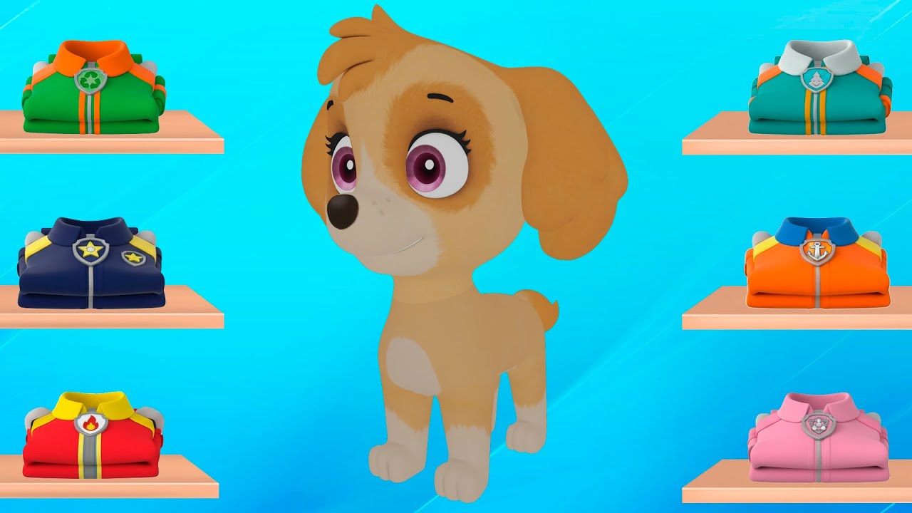 PAW Patrol Skye: Wrong clothes
