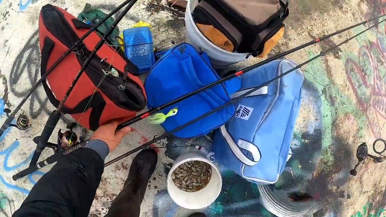 Another day of fishing at the jersey shore#fisherman #fish # bass…