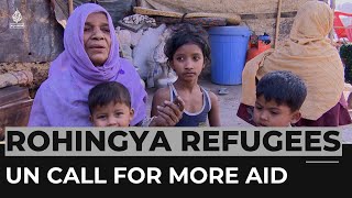 Concerns mount over UN food aid cut for Rohingya in Bangladesh