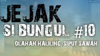 JEJAK SIBUNGUL 10 | OLAHAN HALILING KUCUP