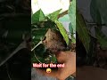 PRANK GONE WRONG🐍