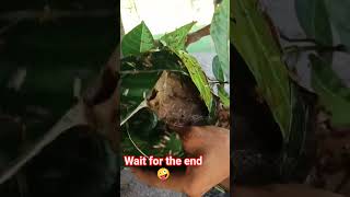PRANK GONE WRONG🐍