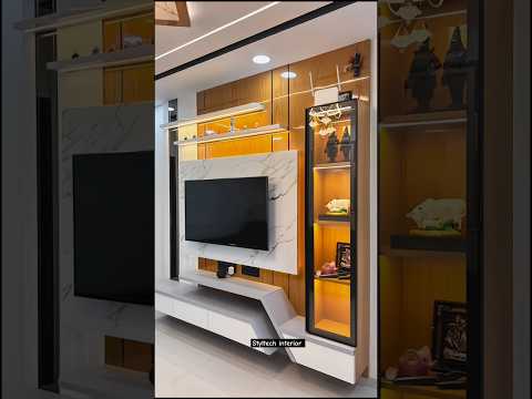 Next-Level TV Unit
