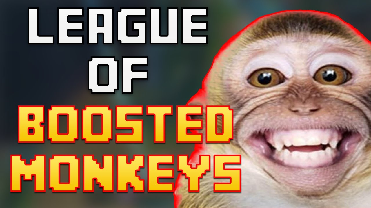 league of boosted monkeys
